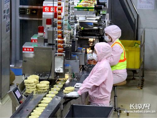 河北隆堯縣 加緊生產(chǎn) 保障供應